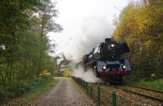 7d8517779df724af4759275a21ed2932