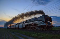 8384d163117615ae38e1e6e8184b018a