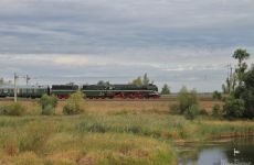 48b18d19fdd0be60120b757d42fca774