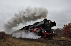 97a2303428b442425118378956b00137