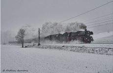 d66bb2eca90bb223d9efc5f3d5fa90a5