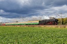 9eb1d149da17d9ea57679a43cfa7bfd0