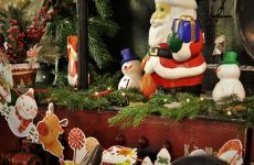 d8a55f5509f04dacb54dbbd2dd35579a